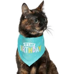 Frisco Dog & Cat Birthday Bandana & Frisco Birthday Cake Dog & Cat Hat -Cat Dog Supply Store 302374 PT3. AC SS1800 V1633076486