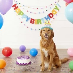 Frisco Dog & Cat Birthday Bandana & Frisco Birthday Cake Dog & Cat Hat -Cat Dog Supply Store 302374 PT7. AC SS1800 V1623091042