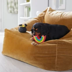 Frisco St. Patrick's Rainbow And Pot Of Gold Latex Squeaky Dog Toy -Cat Dog Supply Store 303136 PT4. AC SS1800 V1702500566