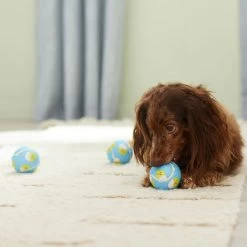 Frisco Easter Fetch Squeaky Tennis Ball Dog Toy, Medium, 3 Count -Cat Dog Supply Store 304964 PT4. AC SS1800 V1703184745