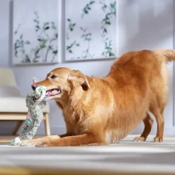 Frisco Easter Bunny Plush With Rope Squeaky Dog Toy -Cat Dog Supply Store 304974 PT4. AC SS1800 V1702500566