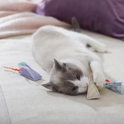 Frisco Spring Party Hat Kickers Cat Toy With Catnip -Cat Dog Supply Store 306960 PT3. AC SS1800 V1703184746