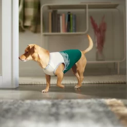 Frisco Tropical Palm Dog & Cat T-Shirt -Cat Dog Supply Store 312072 PT8. AC SS1800 V1644425897