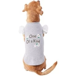 Frisco One Of A Kind Dog & Cat T-Shirt -Cat Dog Supply Store 312080 PT3. AC SS1800 V1673303002