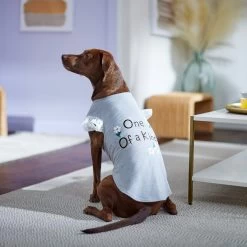 Frisco One Of A Kind Dog & Cat T-Shirt -Cat Dog Supply Store 312080 PT5. AC SS1800 V1673304060