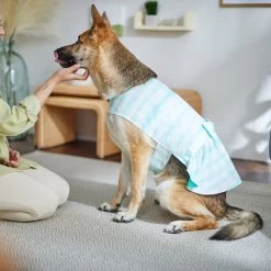 Frisco Green Tie Dye Dog & Cat Dress 11 Frisco Green Tie Dye Dog & Cat Dress -Cat Dog Supply Store 312104 PT8. AC SS1800 V1644424641