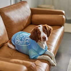 Frisco Peace Love Rescue Dog & Cat T-Shirt -Cat Dog Supply Store 315068 PT8. AC SS1800 V1646351303