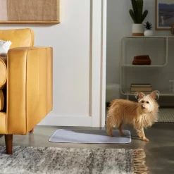 Frisco Washable Dog Potty Pads -Cat Dog Supply Store 315712 PT3. AC SS1800 V1644880410