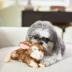 Frisco Realistic Plush Rabbit Plush Dog Toy, Small -Cat Dog Supply Store 316933 PT2. AC SS1800 V1641400634