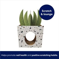 Frisco Potted Succulent Cardboard Cat House -Cat Dog Supply Store 317723 PT2. AC SS1800 V1689342085