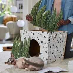 Frisco Potted Succulent Cardboard Cat House -Cat Dog Supply Store 317723 PT3. AC SS1800 V1688677248