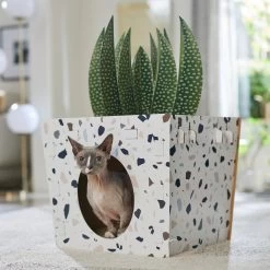 Frisco Potted Succulent Cardboard Cat House -Cat Dog Supply Store 317723 PT4. AC SS1800 V1688677260