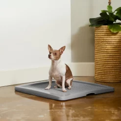 Frisco Training Pad Holder & Frisco Premium Dog Training & Potty Pads -Cat Dog Supply Store 319526 PT4. AC SS1800 V1630624305