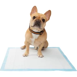 Frisco Training Pad Holder & Frisco Premium Dog Training & Potty Pads -Cat Dog Supply Store 319526 PT8. AC SS1800 V1630628180