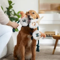 Frisco Mother's Day Gnomes Plush With Rope Squeaky Dog Toy -Cat Dog Supply Store 327037 PT3. AC SS1800 V1646948102