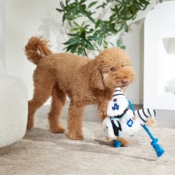 Frisco Dad Gnome Plush With Rope Dog Toy -Cat Dog Supply Store 327053 PT3. AC SS1800 V1648667286