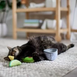 Frisco Guacamole Bowl Cat Toy With Catnip, Medium, 4 Count -Cat Dog Supply Store 327059 PT3. AC SS1800 V1645205519