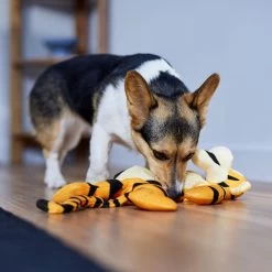 Disney Tigger Bungee Plush Squeaky Dog Toy 5 Disney Tigger Bungee Plush Squeaky Dog Toy -Cat Dog Supply Store 328769 PT3. AC SS1800 V1657718551