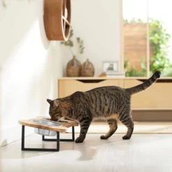 Frisco Premium Wood Elevated Bone Shape Stainless Steel Double Diner Dog & Cat Bowl, 3 Cup -Cat Dog Supply Store 331497 PT3. AC SS1800 V1657656892