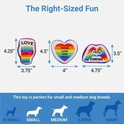 Frisco Pride Rainbow Hide & Seek Puzzle Plush Squeaky Dog Toy -Cat Dog Supply Store 331673 PT2. AC SS1800 V1649785282