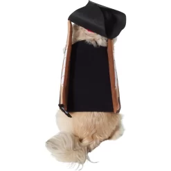 Frisco Pirate Ship Dog & Cat Costume -Cat Dog Supply Store 335078 PT3. AC SS1800 V1658346172