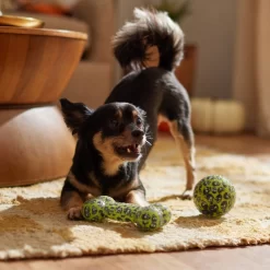 Frisco Halloween Glow In The Dark TPR Squeaky Bone & Ball Dog Toy -Cat Dog Supply Store 344130 PT3. AC SS1800 V1657657042