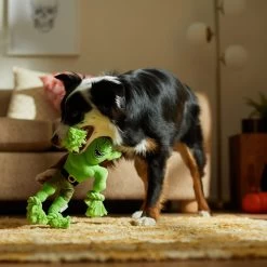 Frisco Halloween Goblin Plush With Rope Squeaky Dog Toy -Cat Dog Supply Store 344132 PT3. AC SS1800 V1657657042