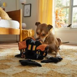 Frisco Halloween Haunted House Hide & Seek Puzzle Plush Squeaky Dog Toy 9 Frisco Halloween Haunted House Hide & Seek Puzzle Plush Squeaky Dog Toy -Cat Dog Supply Store 344136 PT3. AC SS1800 V1657657042
