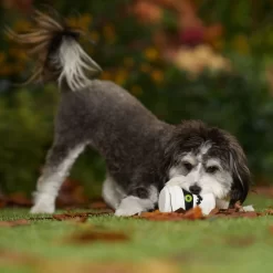 Frisco Halloween Mummy Latex Squeaky Dog Toy 6 Frisco Halloween Mummy Latex Squeaky Dog Toy -Cat Dog Supply Store 344140 PT3. AC SS1800 V1657657042