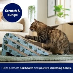 Frisco Nesting Cat Scratcher Toy With Catnip, Tropical Paradise -Cat Dog Supply Store 347215 PT3. AC SS1800 V1659699261