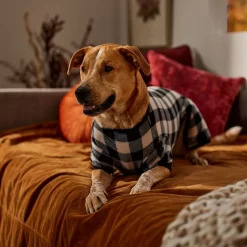 Frisco Plaid Dog & Cat Fleece Pajamas -Cat Dog Supply Store 353755 PT6. AC SS1800 V1660749967