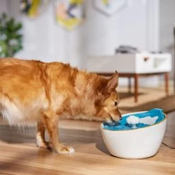 Frisco Ceramic Clouds Dog & Cat Fountain -Cat Dog Supply Store 355803 PT4. AC SS1800 V1665684810