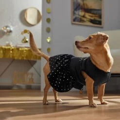 Frisco Kiss Me At Midnight Dog & Cat Dress -Cat Dog Supply Store 358044 PT7. AC SS1800 V1661799831