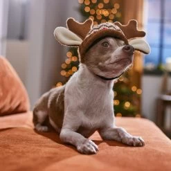 Frisco Antler Fair Isle Dog & Cat Hat -Cat Dog Supply Store 358313 PT4. AC SS1800 V1661798696