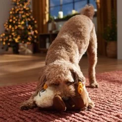 Frisco Holiday Festive Owl Plush Squeaky Dog Toy -Cat Dog Supply Store 360919 PT3. AC SS1800 V1661874361