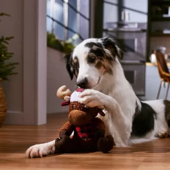 Frisco Holiday Cozy Moose Plush Squeaky Dog Toy 7 Frisco Holiday Cozy Moose Plush Squeaky Dog Toy -Cat Dog Supply Store 360934 PT3. AC SS1800 V1661874193