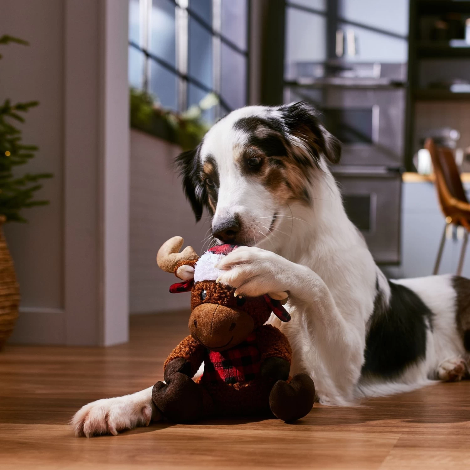 Frisco Holiday Cozy Moose Plush Squeaky Dog Toy 3 Frisco Holiday Cozy Moose Plush Squeaky Dog Toy - Image 3