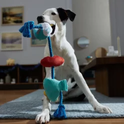 Frisco Hanukkah Celebration Plush With Rope Squeaky Dog Toy -Cat Dog Supply Store 360986 PT3. AC SS1800 V1661874063