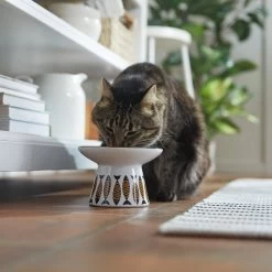 Frisco Cat Face Wide Shape Elevated Non-Skid Ceramic Cat Bowl -Cat Dog Supply Store 363381 PT3. AC SS1800 V1657657267