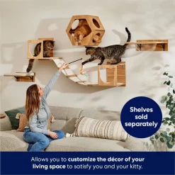 Frisco Cushioned Wall Mounted Cat Wall Shelf -Cat Dog Supply Store 373443 PT3. AC SS1800 V1675692706