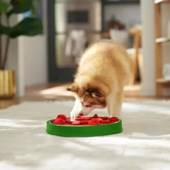 Frisco Watermelon Interactive Puzzle Dog Toy, Advanced -Cat Dog Supply Store 506322 PT5. AC SS1800 V1674667034