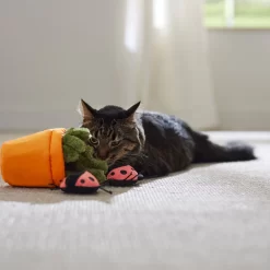 Frisco Spring Potted Plant And Ladybugs Interactive Plush Cat Toy With Catnip -Cat Dog Supply Store 541542 PT3. AC SS1800 V1671814448