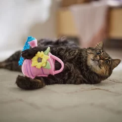 Frisco Spring Watering Can Plush Cat Toy With Catnip -Cat Dog Supply Store 541558 PT3. AC SS1800 V1671814448