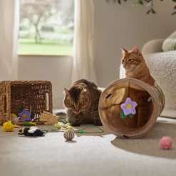 Frisco Spring Plush, Teaser, Ball & Tunnel Variety Pack Cat Toy With Catnip, 10 Count -Cat Dog Supply Store 541590 PT3. AC SS1800 V1671814448