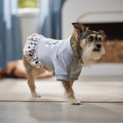 Frisco Stay Wild Dog & Cat Hoodie -Cat Dog Supply Store 555366 PT6. AC SS1800 V1674829061