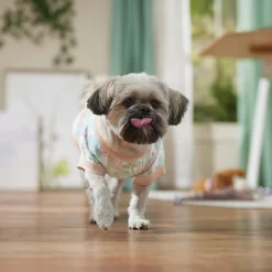 Frisco Vintage Tropical Dog & Cat Pocket T-Shirt -Cat Dog Supply Store 556598 PT5. AC SS1800 V1675101997