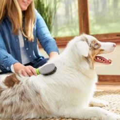 TropiClean Luxury 2 In 1 Papaya & Coconut Pet Shampoo & Conditioner & Frisco Cat & Dog Bristle Brush 15 TropiClean Luxury 2 In 1 Papaya & Coconut Pet Shampoo & Conditioner & Frisco Cat & Dog Bristle Brush -Cat Dog Supply Store 575094 PT7. AC SS1800 V1657660395