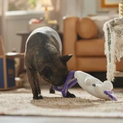 Frisco Halloween Bunny Ghost Plush Squeaky Dog Toy -Cat Dog Supply Store 667878 PT3. AC SS1800 V1689340856