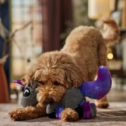 Frisco Halloween Midnight Unicorn Plush Squeaky Dog Toy -Cat Dog Supply Store 667958 PT3. AC SS1800 V1689350103