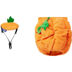 Frisco Pumpkin Ball Dog & Cat Costume -Cat Dog Supply Store 708902 PT4. AC SS1800 V1689342202